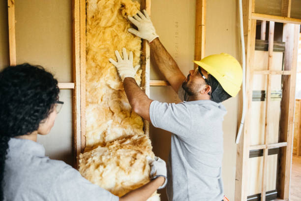 Best Batt and Roll Insulation  in Warsaw, MO