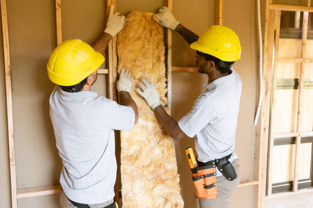 Best Attic Insulation Installation  in Warsaw, MO